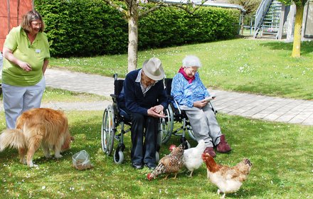 Tierische Gäste in Legau